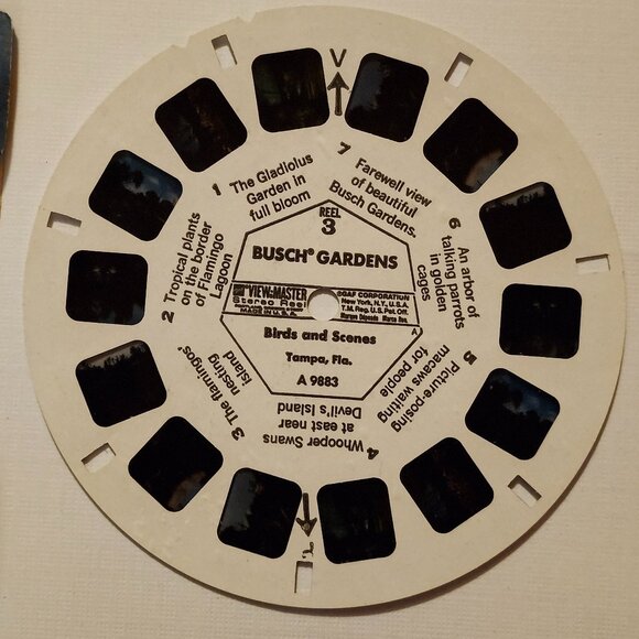VINTAGE View Master BUSCH GARDENS REELS x 3 - Picture 4 of 5